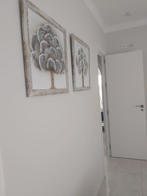 360° Seaview Benalbeach Apartment Benalmádena Exterior foto